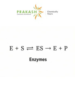 Enzimas