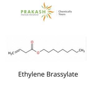 Etileno Brassilato (Musk T)